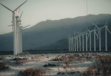 Photographer snaps gorgeous photos in nature